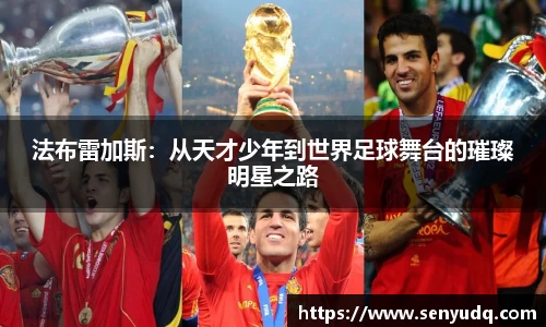 好博(中国)体育