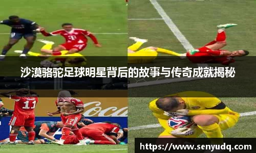 沙漠骆驼足球明星背后的故事与传奇成就揭秘